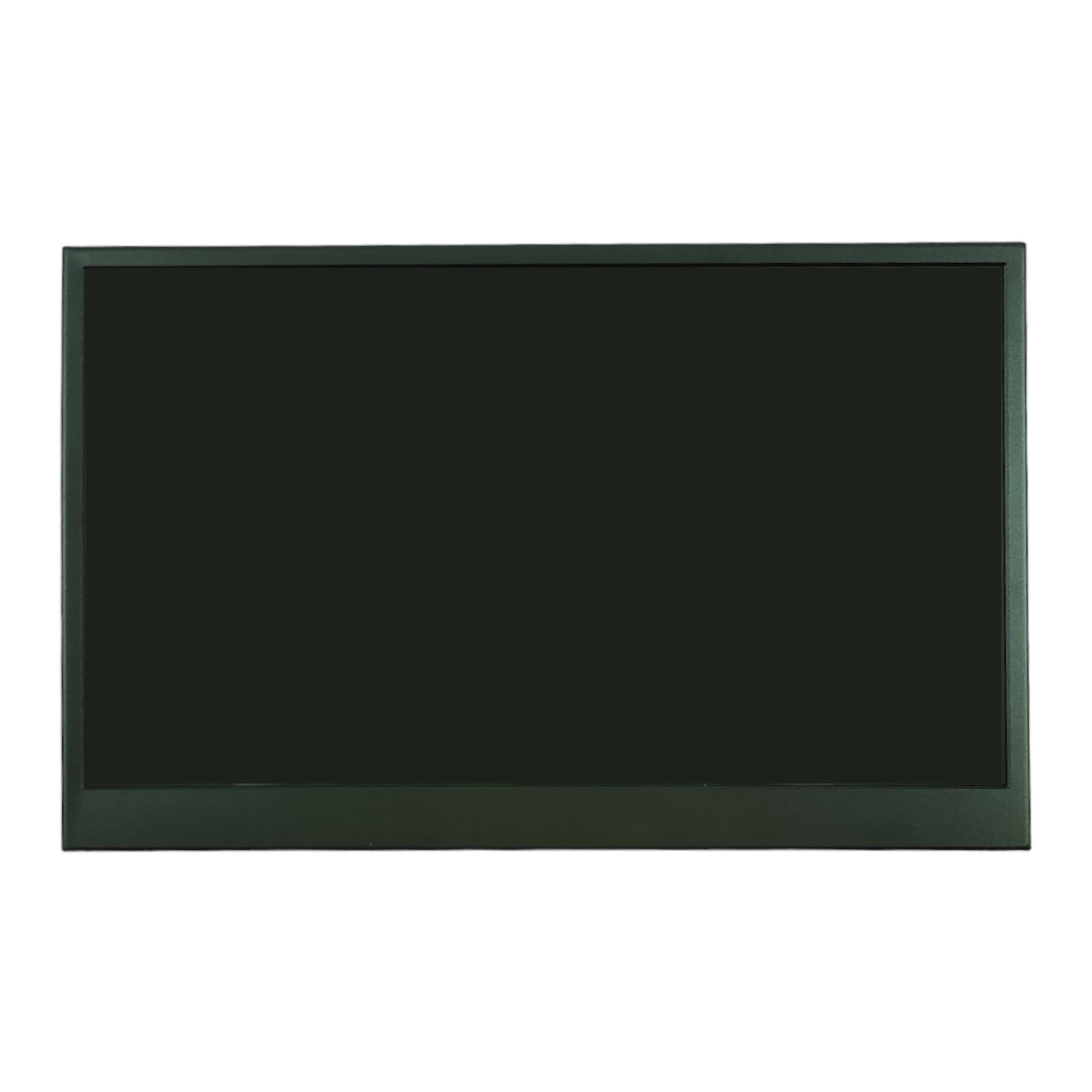 Монитор 15,6" DS156WM1SС-90H5-HС