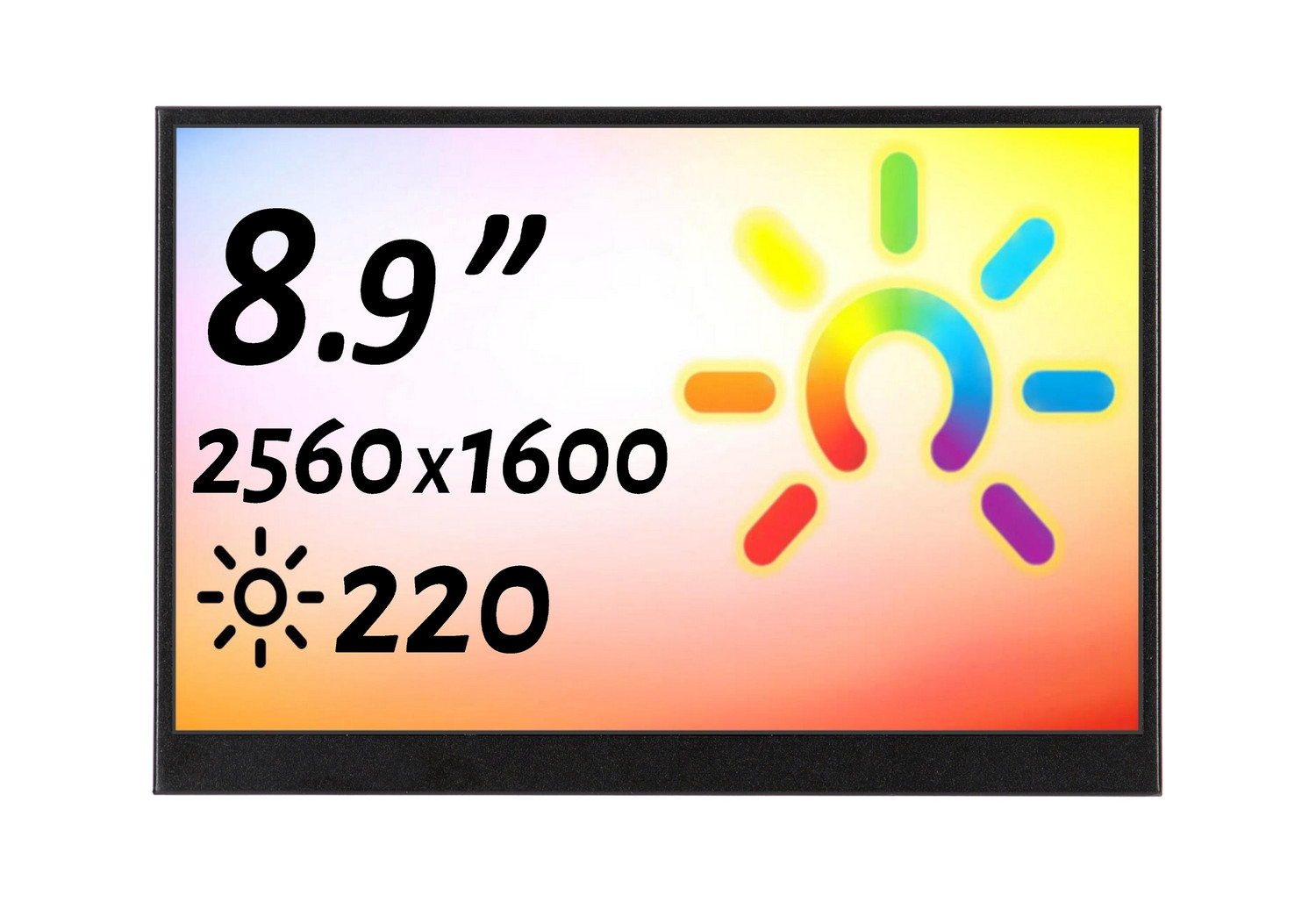 Монитор 8,9" DS089WM1-56S5-H