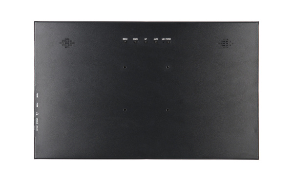 Монитор 17,3" DS173WM1-90S5-H